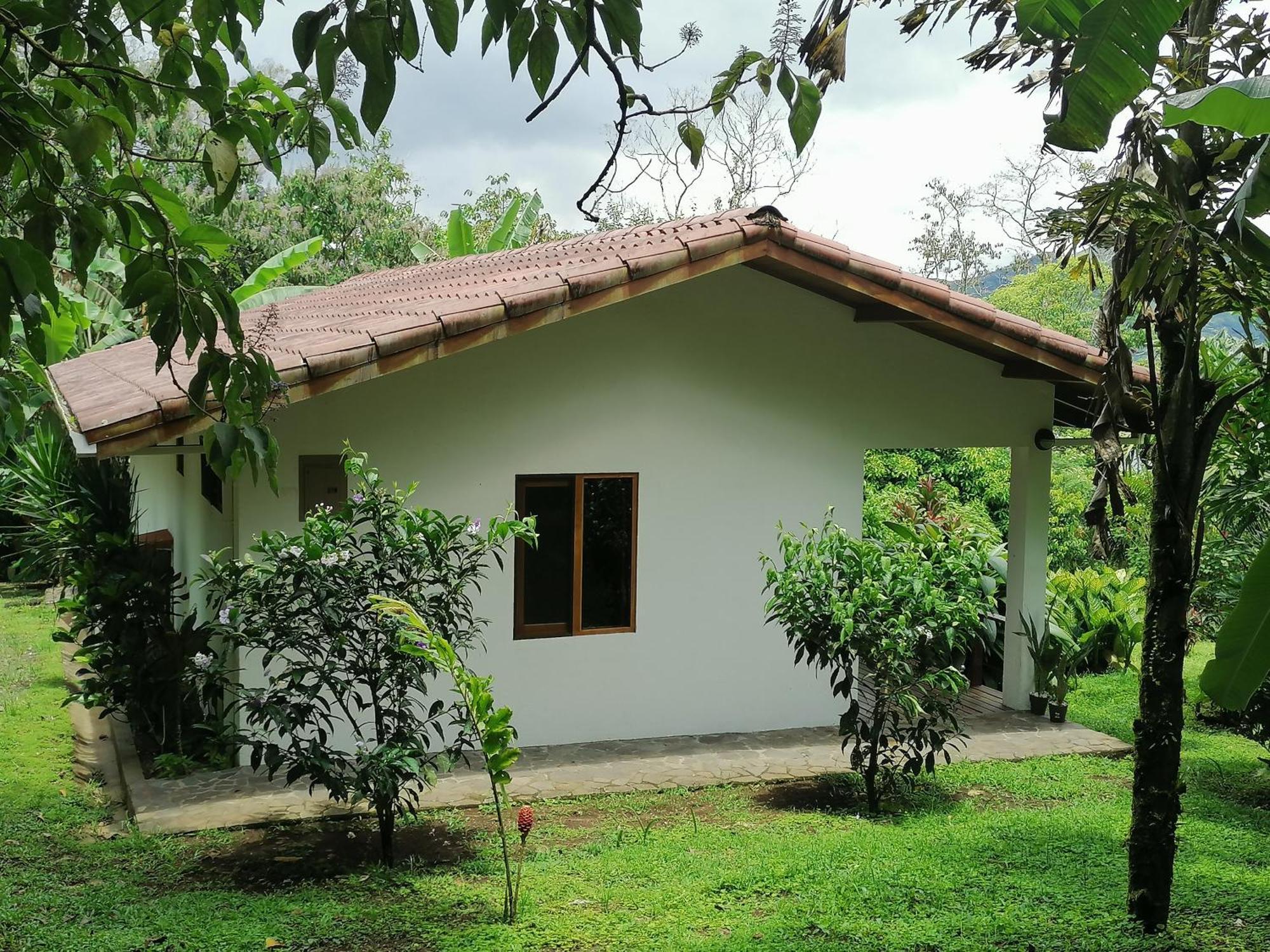Tilarán La Ceiba Tree Lodge מראה חיצוני תמונה