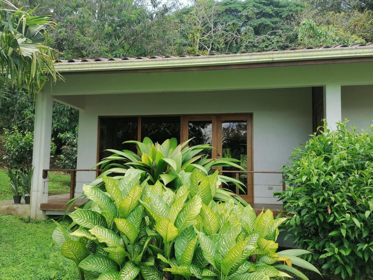 Tilarán La Ceiba Tree Lodge מראה חיצוני תמונה